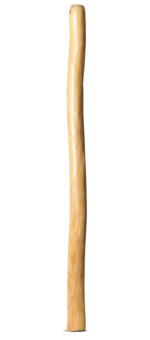 Medium Size Natural Finish Didgeridoo (TW1528)